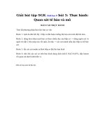 Tải Giải bài tập SGK Sinh học 8 bài 5: Thực hành: Quan sát tế bào và mô - Giải bài tập Sinh học rút gọn lớp 8 bài 5