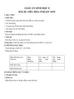 Tải Giáo án Sinh học 8 bài Tiêu hóa ở ruột non - Giáo án điện tử môn Sinh học lớp 8