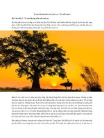 Tải Tả cảnh hoàng hôn trên quê em - Văn mẫu lớp 6