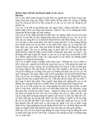 Tải Hãy viết bài văn thuyết minh về cây cao su - Bài văn mẫu lớp 9