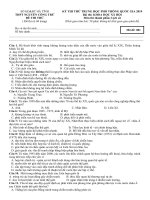 Tải Đáp án đề thi thử THPT Quốc gia môn Lịch sử năm 2019 trường THPT Nguyễn Công Trứ - Hà Tĩnh - Đề minh họa Lịch sử 2019