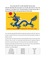 Tải Xem sao hạn năm 2017 sao chiếu mệnh Bính Thìn nam mạng - Xem sao hạn Bính Thìn nam mạng năm Đinh Dậu 2017