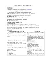 Tải Giáo án môn Sinh học lớp 8 bài 53 - Cơ quan phân tích thính giác