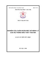 Nghiên cứu chẩn đoán một số bệnh lý của hệ thống não thất thai nhi (full text)