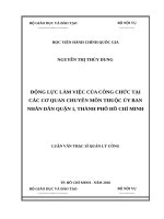 Động lực làm việc của công chức tại các cơ quan chuyên môn thuộc UBND quận 1, tp  HCM 