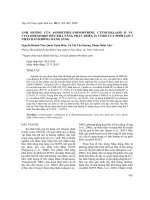 Ảnh hưởng của 6-dimethylaminopurine, cytochalasin B và cycloheximide đến khả năng phát triển in vitro của phôi lợn Ỉ nhân bản không màng sáng