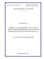 Nghiên cứu tạo oligochitosan – silica nano và khảo sát tính kích kháng bệnh thán thư do nấm colletotrichum spp  gây hại cây ớt (capsicum frutescens l ) 