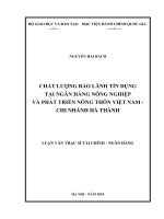 (Luận văn thạc sĩ) chất lượng bảo lãnh tín dụng tại ngân hàng nông nghiệp và phát triển nông thôn việt nam   chi nhánh hà thành 