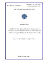 Nghiên cứu tạo oligochitosan – silica nano và khảo sát tính kích kháng bệnh thán thư do nấm colletotrichum spp  gây hại cây ớt (capsicum frutescens l ) 