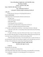 giao an hoat dong trai nghiem lop sach canh dieu ca nam (1)