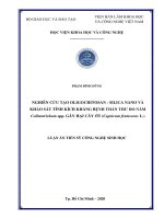 Nghiên cứu tạo oligochitosan – silica nano và khảo sát tính kích kháng bệnh thán thư do nấm colletotrichum spp  gây hại cây ớt (capsicum frutescens l ) 