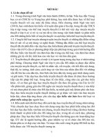 Rèn luyện kỹ năng đọc hiểu truyền thuyết cho học sinh lớp 6 tt 