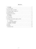 Sáng kiến kinh nghiệm, SKKN - NGHIÊN CỨU TƯƠNG TÁC GIỮA CÁC VẬT CÓ KHỐI LƯỢNG RẤT KHÁC NHAU BẰNG “NGHỊCH LÝ