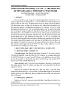 Đánh giá khả năng làm việc của tấm tái sinh không khí do Việt Nam sản xuất trên động vật thực nghiệm
