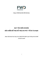 QUY TẮC ĐIỀU KHOẢN BẢO HIỂM BỔ TRỢ HỖ TRỢ CHI PHÍ Y TẾ DO TAI NẠN