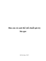 Báo cáo rà soát chuỗi giá trị lúa gạo