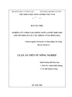 Nghiên cứu chọn tạo giống ngô lai phù hợp cho chuyển đổi cơ cấu cây trồng vùng đông bắc 