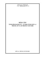BÁO CÁO TÌNH HÌNH KINH TẾ - XÃ HỘI TỈNH SƠN LA THÁNG 10 VÀ 10 THÁNG NĂM 2020