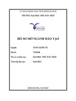 HỒ SƠ MỞ NGÀNH ĐÀO TẠO Ngành: TOÁN KINH TẾ