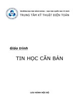 TRUNG TÂM KỸ THUẬT ĐIỆN TOÁN. Giáo trình TIN HỌC CĂN BẢN