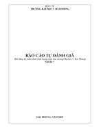TRƯỜNG ĐẠI HỌC Y HẢI PHÒNG BÁO CÁO TỰ ĐÁNH GIÁ (Để đăng ký kiểm định chất lượng giáo dục trường Đại học Y Hải Phòng)