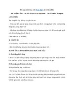 Tải Bài soạn minh họa môn Toán lớp 1 sách Cánh Diều - Giáo án Toán 1 năm 2020 - 2021