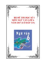 BỘ ĐỀ THI HỌC KÌ 1 MÔN NGỮ VĂN LỚP 6 NĂM 2017 (CÓ ĐÁP ÁN)