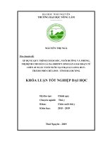 Áp dụng quy trình chăm sóc, nuôi dưỡng và phòng, trị bệnh cho đàn gà isa brown sinh sản giai đoạn từ 1 đến 49 ngày tuổi nuôi tại trại gà long huy, thành phố chí linh, tỉnh hải dương 