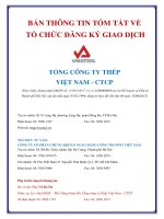 BẢN THÔNG TIN TÓM TẮT VỀ TỔ CHỨC ĐĂNG KÝ GIAO DỊCH TỔNG CÔNG TY THÉP VIỆT NAM - CTCP