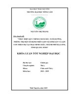 Thực hiện quy trình chăm sóc, nuôi dưỡng, phòng trị một số bệnh trên lợn nái sinh sản và lợn con theo mẹ tại trại minh châu, thành phố hạ long, tỉnh quảng ninh 