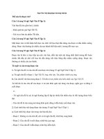 Tải Soạn Văn 8: Xây dựng đoạn văn trong văn bản - Soạn Văn lớp 8 Xây dựng đoạn văn trong văn bản