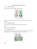 Tải Giải bài tập SGK Vật lý lớp 8 bài 8: Áp suất chất lỏng - bình thông nhau - Giải bài tập SGK Vật lý lớp 8 bài 8 trang 28, 29, 30, 31 SGK