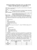 Tải Tập bản đồ Địa lý lớp 10 bài 38: Vai trò, các nhân tố ảnh hưởng và đặc điểm phân bố các ngành dịch vụ - Giải Tập bản đồ Địa lý lớp 10