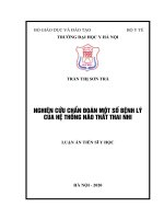 luận án tiến sĩ nghiên cứu chẩn đoán một số bệnh lý của hệ thống não thất thai nhi 