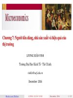 Người tiêu dùng, nhà sản xuất và hiệu quả của thị trường. LƯƠNG XUÂN VINH. Trƣờng Đại Học Kinh Tế - Tài Chính