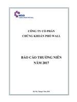 CÔNG TY CỔ PHẦN CHỨNG KHOÁN PHỐ WALL. BÁO CÁO THƯỜNG NIÊN NĂM 2017
