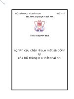 (Luận án tiến sĩ) nghiên cứu chẩn đoán một số bệnh lý của hệ thống não thất thai nhi 