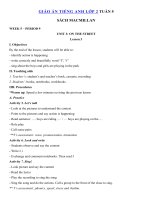 Tải Giáo án Tiếng Anh lớp 2 Tuần 5 sách Macmillan - Giáo án môn tiếng Anh lớp 2 theo tuần