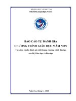 TRƯỜNG ĐẠI HỌC VINH.BÁO CÁO TỰ ĐÁNH GIÁ CHƯƠNG TRÌNH GIÁO DỤC MẦM NON