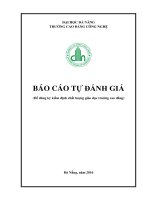 ĐẠI HỌC ĐÀ NẴNG TRƯỜNG CAO ĐẲNG CÔNG NGHỆ BÁO CÁO TỰ ĐÁNH GIÁ (Để đăng ký kiểm định chất lượng giáo dục trường cao đẳng)