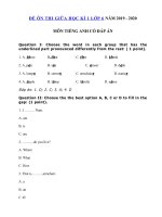 Tải Đề thi thử giữa kì 1 lớp 6 môn tiếng Anh năm 2019 - 2020 - Đề kiểm tra tiếng Anh 6 mới có đáp án