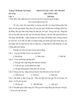 Tải Đề thi khảo sát chất lượng đầu năm môn Tiếng Việt lớp 4 trường Tiểu học Huỳnh Việt Thanh, Long An năm học 2014 - 2015 - Đề kiểm tra chất lượng đầu năm môn Tiếng Việt lớp 4 có đáp án