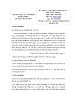 Tải Đáp án đề thi tuyển sinh vào lớp 10 môn Ngữ văn Sở GD&ĐT Bình Dương năm học 2019 - 2020 - Đề thi vào lớp 10 THPT môn Văn năm 2019