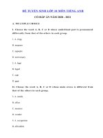 Tải Đáp án đề thi minh họa tiếng Anh vào lớp 10 Đồng Nai năm 2020 - Đề thi vào 10 môn tiếng Anh có đáp án