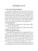 Nghiên cứu kích thước và phân nhánh của động mạch chủ ở người việt nam trưởng thành TT 