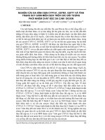 Nghiên cứu đa hình gen CYP1A1, GSTM1, GSTT1 và tình trạng suy giảm miễn dịch trên các đối tượng phơi nhiễm chất độc da cam/Dioxin