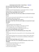 Tải Giải bài tập Vật lý lớp 10 bài 1: Chuyển động cơ - Bài tập Vật lý lớp 10 trang 11 SGK