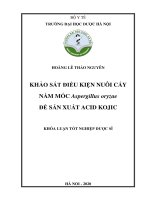 HOÀNG lê THẢO NGUYÊN KHẢO sát điều KIỆN NUÔI cấy nấm mốc aspergillus oryzae để sản XUẤT ACID KOJIC KHÓA LUẬN tốt NGHIỆP dược sĩ 