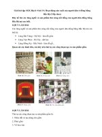 Tải Giải bài tập SGK Địa lí 4 bài 14: Hoạt động sản xuất của người dân ở đồng bằng Bắc Bộ (Tiếp theo) - Hướng dẫn giải bài tập môn Địa lý lớp 4