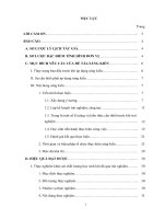 Sáng kiến kinh nghiệm, SKKN - Hướng dẫn học sinh trải nghiệm thực tế tại phòng Bộ môn Hóa thông qua hoạt động làm đồ dùng trang trí từ vật liệu phèn chua